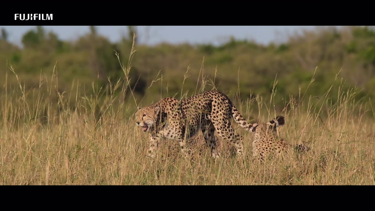 Fujifilm X-T3: Amani Family by William Chua