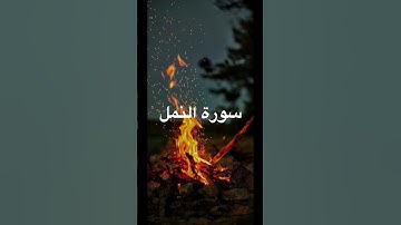 سورة النمل 25 ثانيه #shrots #اكسبلور #قرآن #لايك #راحة_نفسية #ترند