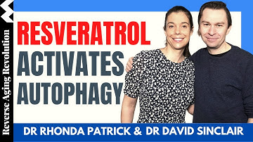 DAVID SINCLAIR “Resveratrol Activates Autophagy” | Dr David Sinclair Interview Clips