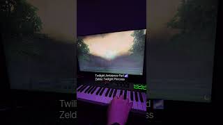Twilight Ambience Pad | Zelda Twilight Princess 🌌 #twilightprincess #vst #zelda #sample #twilight
