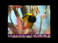 يقول الكتاب يقول الكتاب
