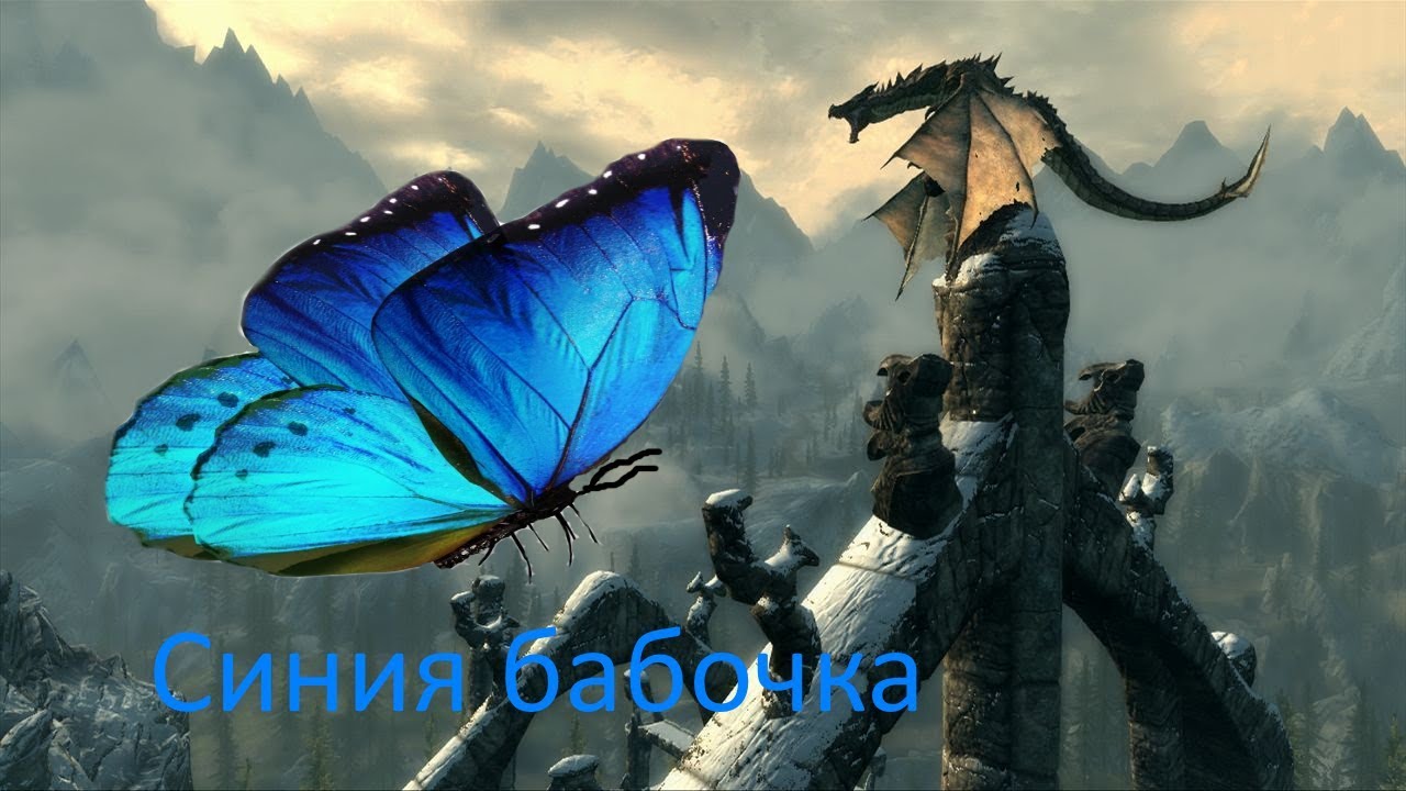 Небесная бабочка инфинити