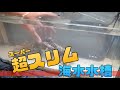 【アクアリウム】場所を取らない水槽！普通のデスクに設置してみたよ（水槽立ち上げ）