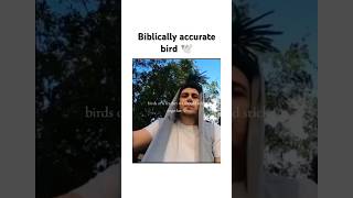 I had to watch this twice #memes #funny #funnyclips #tiktok #reels