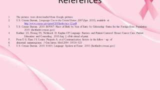 Challenges that Limited English Proficient Women Face in Receiving Health Care