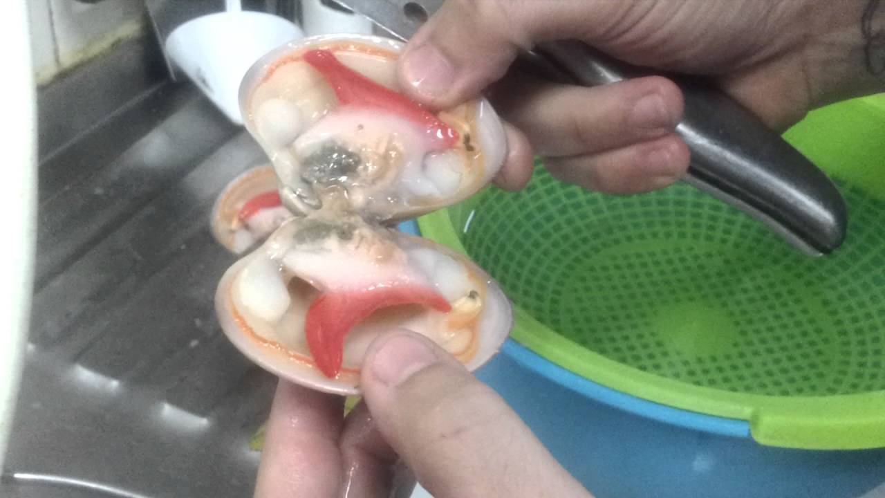 Como se limpian las Conchas Finas. Fran del Rebalaje. El Calaero.