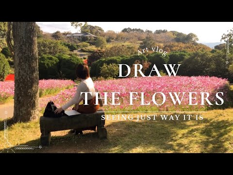 ありのままに　お花をお絵描き　オイルパステル・コスモス畑・能古島/ Drawing flowers/artvlog/oilpastel/flower island