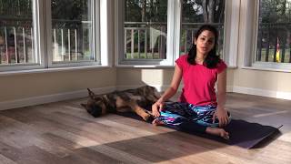 5 minute yoga for beginners - Aham Yoga