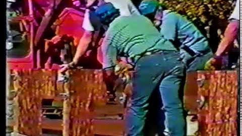 Parallam PSL Wood Bridges