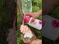 Survival Skills SIMPLE and USEFUL save SOAP & Water in forest #camping #survival#outdoors#skills