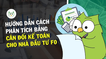 Hướng Dẫn Phân Tích Bảng Cân Đối Kế Toán Cho Nhà Đầu Tư F0 (Cực Dễ Hiểu) | Trong 1 Trang