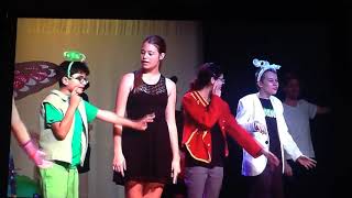 Social Science Video Finale