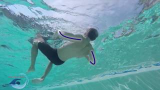Learn to Swim - Elementary Backstroke