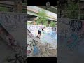 carvin hard/bs carve/whale tail section/fdrr!please subscribe thank you!!#fdr #skate