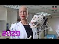 Sophia the Robot Gives a Glimpse of What's to Come in 2020 #Sophia2020