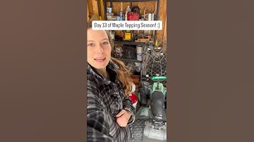 Maple Tapping Season: SO MUCH SAP & NO STORAGE! #maplesyrup #homestead #country #diy #trees #nature