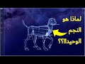 وأنه هو رب الشعرى | أعظم نجوم السماء | خفايا واسرار عن الشعرى اليمانية