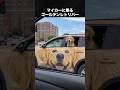 ゴールデンレトリバーの沼にハマってしまう動画 #ゴールデンレトリバー #犬 #いぬ #動物