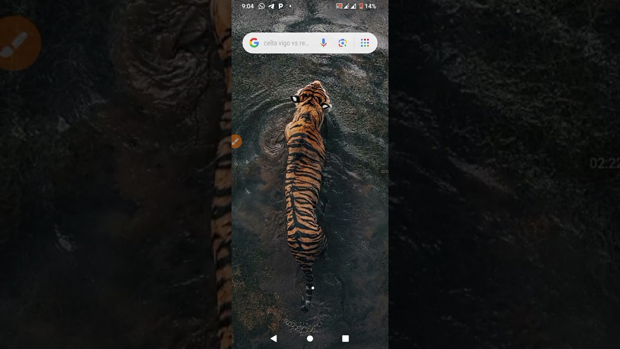 How to Configure your Browser