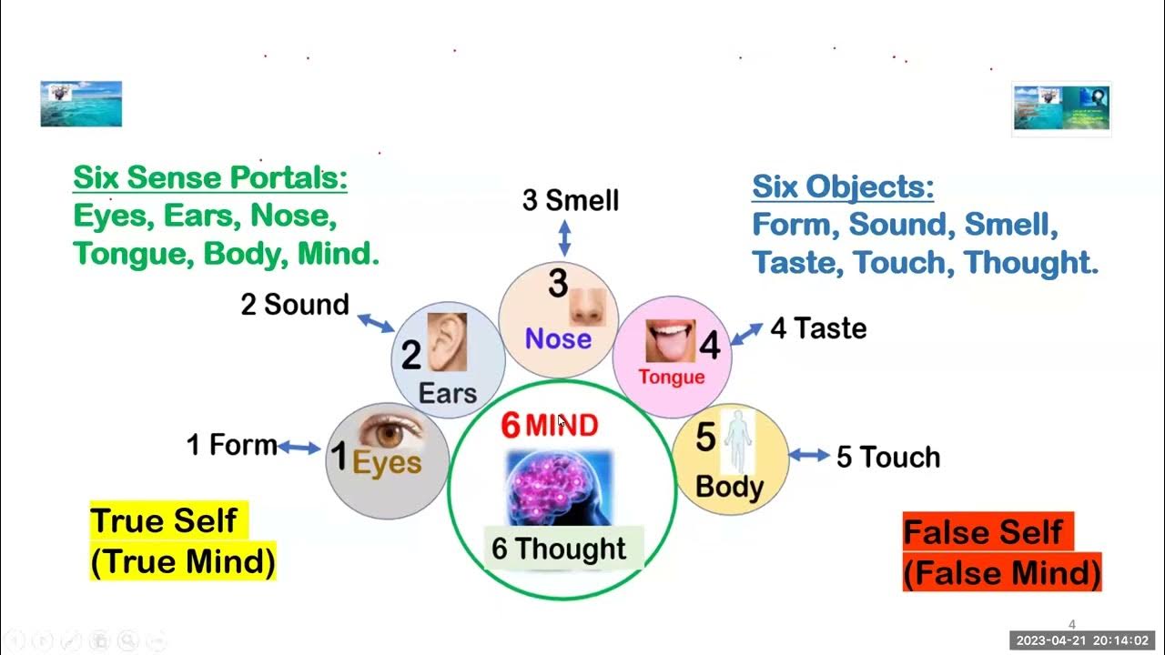 What Is The Meaning Of Ferrying What Is The Meaning Of Ferrying