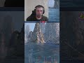 #mirkorabley  #gameplay  #twitch