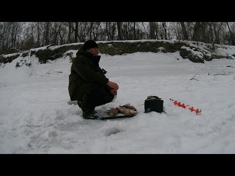 Заехал в эту протоку и не прогадал! Рыбалка на Оби в коряжнике.