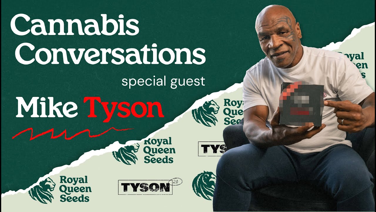 Cannabis Conversations with Mike Tyson in Amsterdam “The Jawbreaker