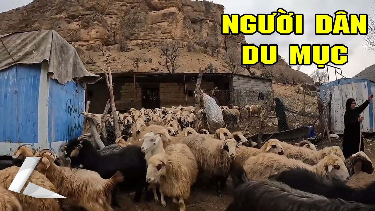 Cuộc Sống Khắc Nghiệt Ở Afghanistan & Iran – Bữa Cơm Đơn Sơ, Hành Trình Du Mục 500km