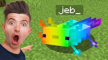 100 Secret Minecraft Myths that are Real