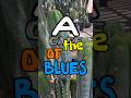 Talk about the blues #bluecactus #abel #revert #blues #cactusjeff