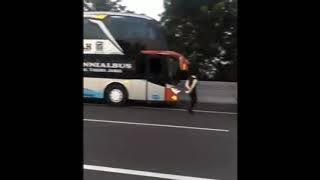 21 Bus Konvoi Rosalia Indah SDD New Di Tol Trans Jawa