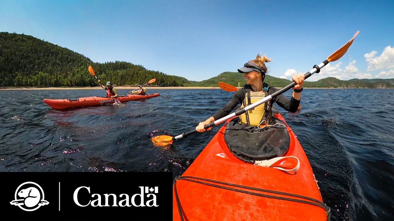 Kayaking on the Saguenay River in 360 Parks Canada YouTube
