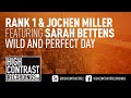 Miniature de la vidéo de la chanson Wild And Perfect Day (Dub Mix)