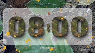 🍁 8 Minute Autumn Timer | Quick Study & Focus Countdown ⏱️