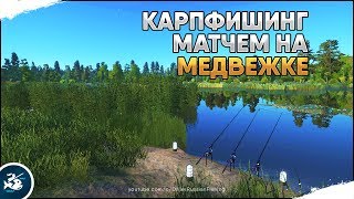 Карпфишинг матчем на Медвежке. Русская Рыбалка 4 [Стрим]