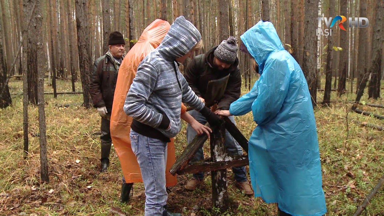 Expeditiile Memoriei, Siberia 2017 tvri live