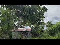 PROVINCE VLOG #2 #countryside #provincelife #smallyoutuber