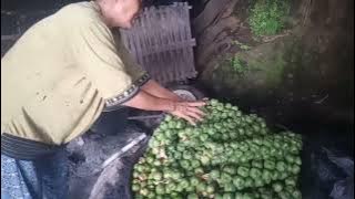 gdut 87 munduk bestale buleleng proes membuat bluluk dari buah jake