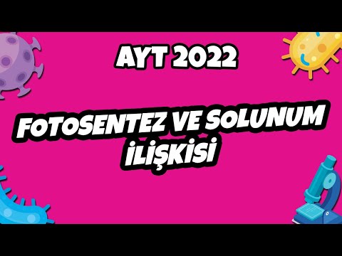 AYT Biyoloji - Fotosentez ve Solunum İlişkisi | AYT Biyoloji 2022 #hedefekoş