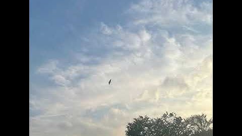 سورة نوح كاملة الشيخ المنشاوى/ فقلت إستغفروا ربكم إنه كان غفارا