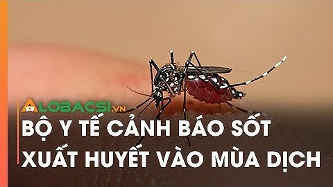 NÓNG: Bộ Y tế cảnh báo sốt xuất huyết vào mùa dịch