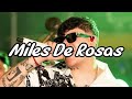 Miles De Rosas: Junior H (Corridos)