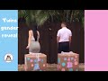TWINS BABY GENDER REVEAL  / CUTE ANNOUNCEMENT IDEAS 2017 [reupload]