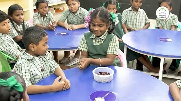 EE | MAT | T3 | C1 - 3 | MOD2 | ACT 1 | ஒற்றை எண்கள் மற்றும் இரட்டை எண்கள் |CLASSROOM VIDEO