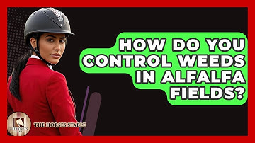 How Do You Control Weeds In Alfalfa Fields? - The Horses Stable