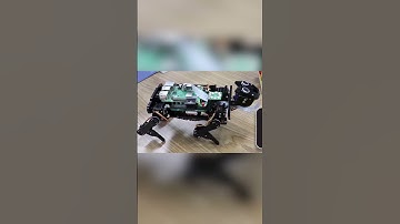 Funny Dog Robot Powered by Raspberry Pi