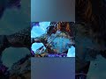 Kratos fighting NIDHOGG the lizard | god of war ragnarok #shorts #kratos #ragnarok #gaming