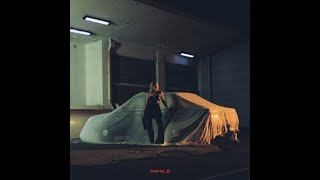 Hot Fever Dream  Astrid S