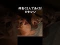 漁港にいた捨て猫の末路 #shorts #猫 #子猫 Bling-Bang-Bang-Born #mashle #creepynuts