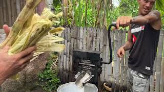 How to extract juice from sugar cane using traditional tools